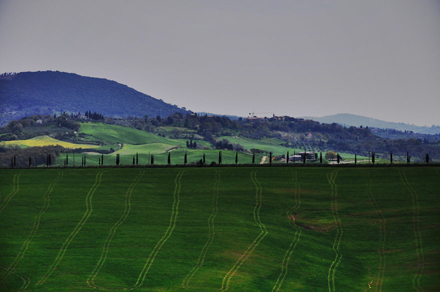 DSC_1468b1