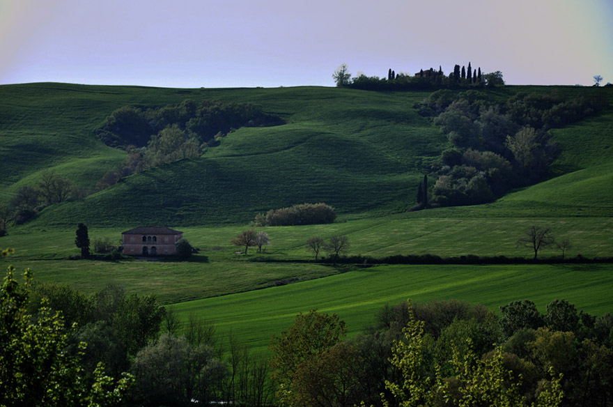DSC_1550b