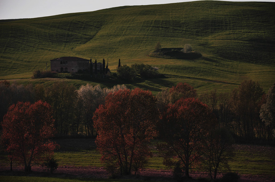 DSC_1562b