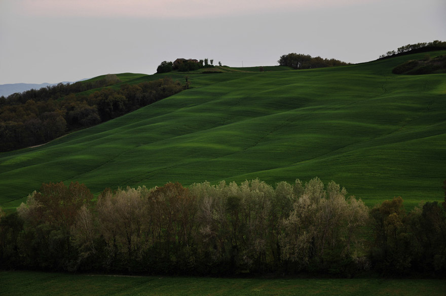 DSC_1569b