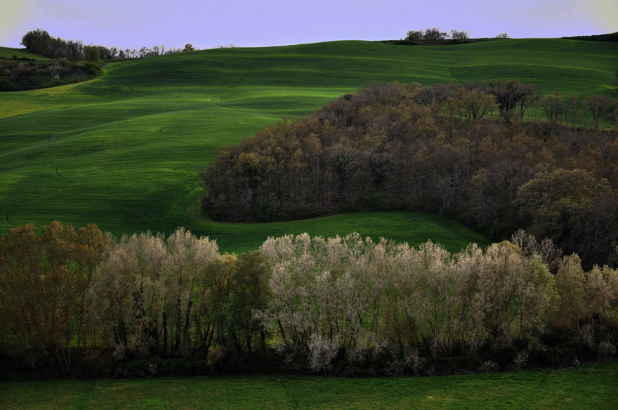 DSC_1571b