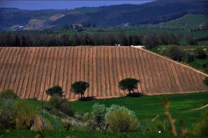 Villes et paysages de Toscane