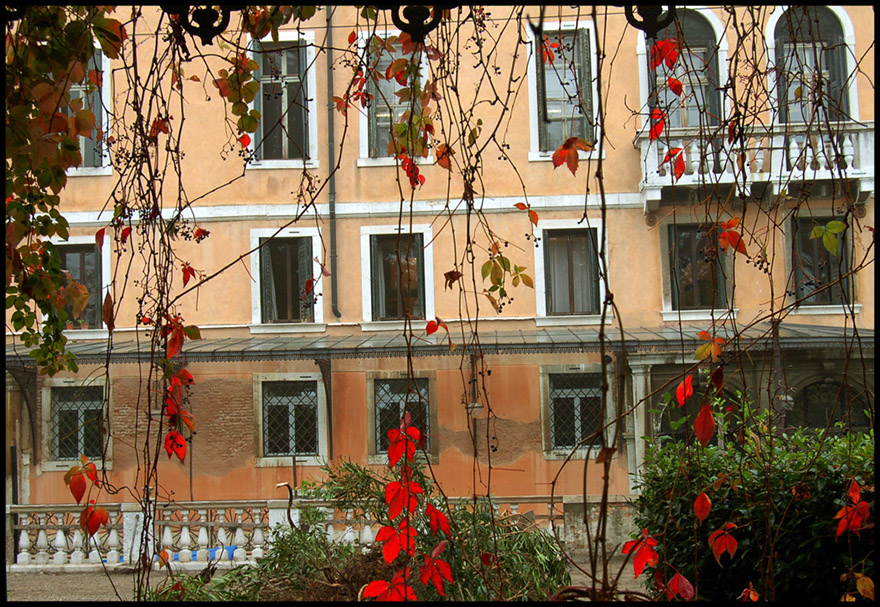 DSC_0126b