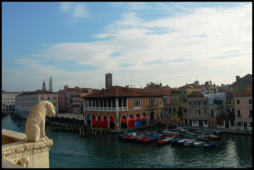 DSC_0494b